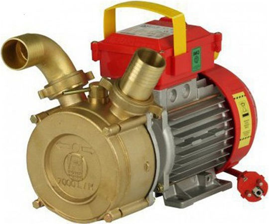 Rover Pompe BE-M 20 CE Single Phase Transfer Pump with 3/4" Inlet and 0.5hp Horsepower
