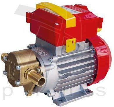 Rover Pompe Single Phase Transfer Pump with 3/4" Inlet and 0.8hp Horsepower