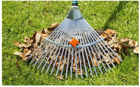 Gardena Natureline Lawn Rake with Handle Adjustable