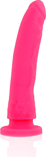 Delta-Club Gurtzeug mit Dildo 17cm in Farbe Pink