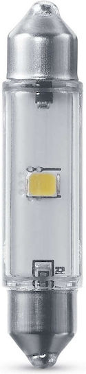 Philips Λάμπα Αυτοκινήτου & Μοτοσυκλέτας Ultinon Pro3000 LED 6000K Ψυχρό Λευκό 12V 0.6W 1τμχ