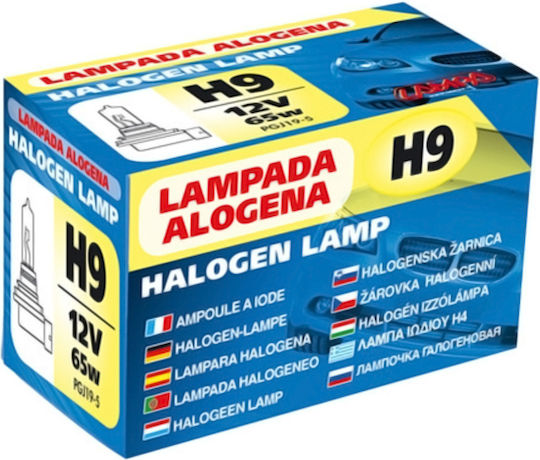 Lampa Lampen Auto H9 Halogen 12V 65W 1Stück