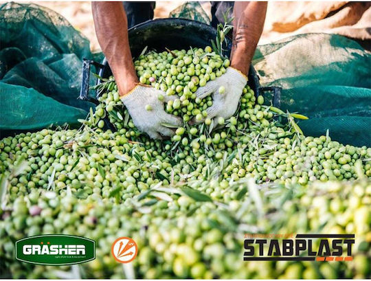 Grasher Ελαιόδιχτο από HDPE 5x12m με Κρίκους