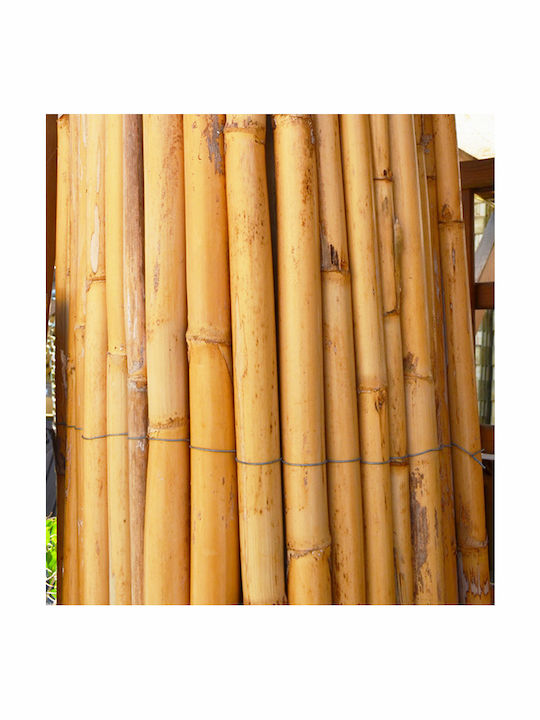 Showood Bambuszaun mit Ganzes Schilf 1.5x3m