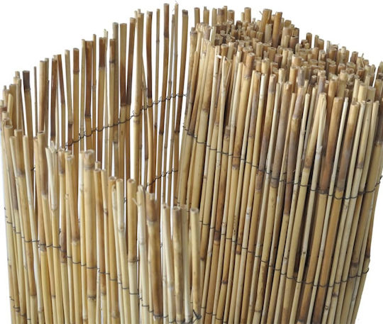 vidaXL Bamboo Fencing with Whole Reed 1x10m