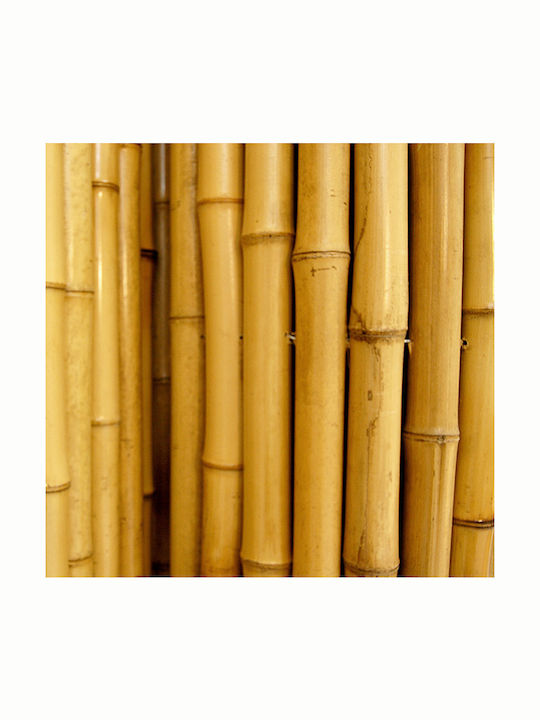 Showood Bamboo Fencing Bamboo with Whole Wood 1x3m