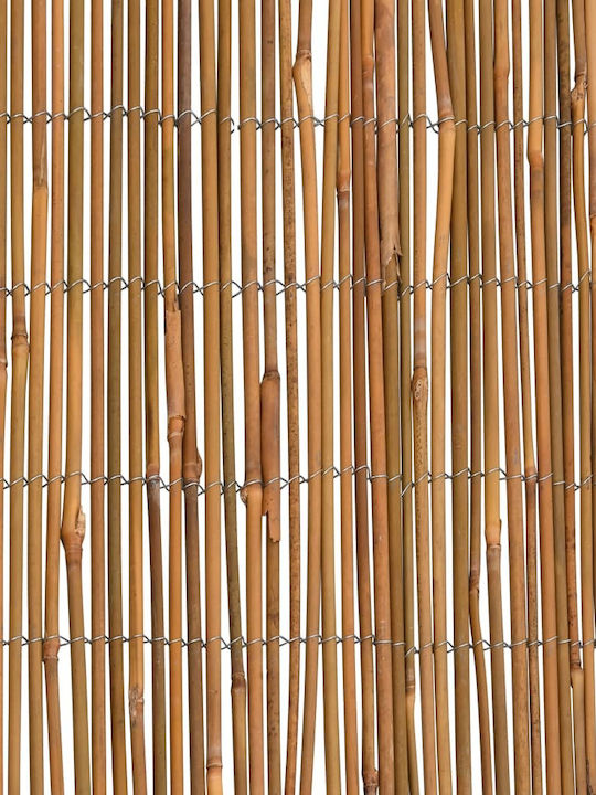 vidaXL Καλαμωτή Μπαμπού με Ολόκληρο Ξύλο 1x5m