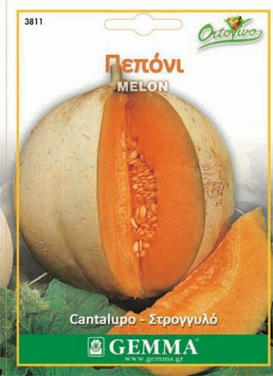 Gemma Samen Melone Kantalupenorange 4.5gr/135Stück