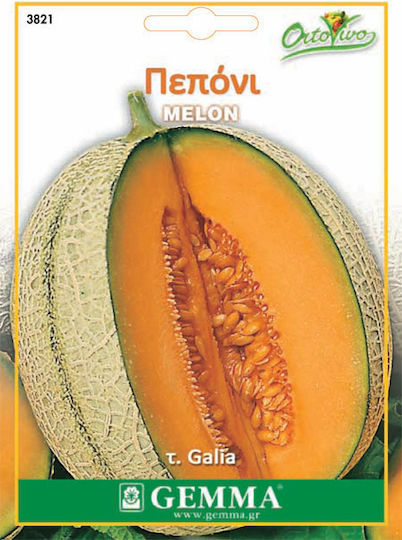 Gemma Samen Melone Kantalupenorange 4.5gr/135Stück