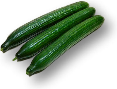 Syngenta Seeds Cucumber 100pcs