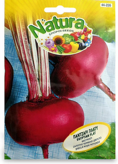 Natura Seeds Beetroot Egyptian Natura Seeds Beetroot Egyptian