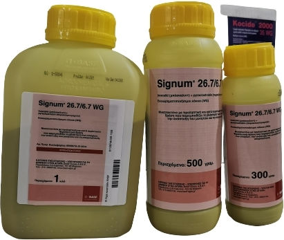 BASF Signum WG Μυκητοκτόνο σε Κόκκους 300gr