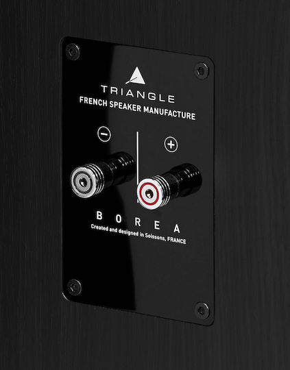 Triangle Borea BR07 Ζεύγος Ηχείων Hi-Fi Δαπέδου 120W 2.5 Δρόμων Π29xΒ40.5xΥ106.5εκ. Μαύρο