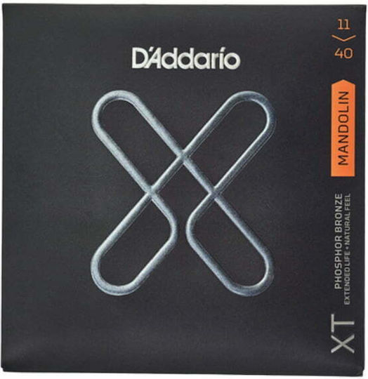 Daddario Phosphor Bronze Strings Set 11 - 40 Inches for Mandolin XT Mandolin Set Medium XTM1140