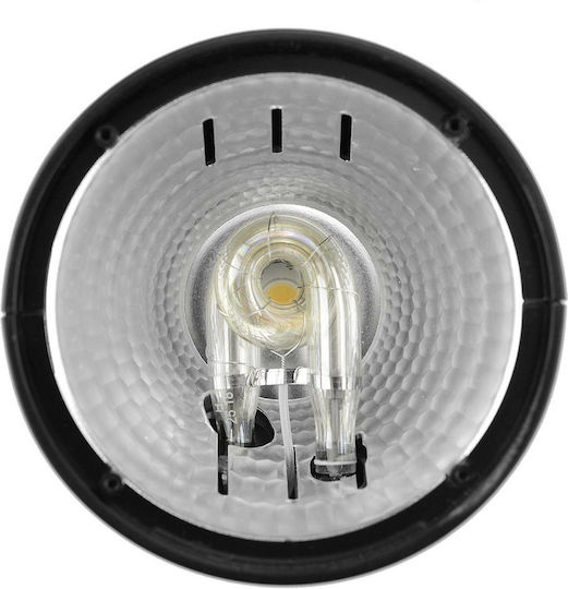 Godox H200R Accesorii flash
