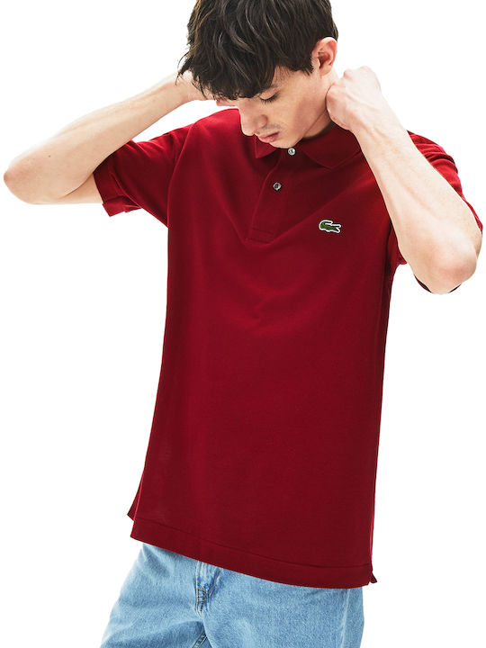 Polo T-shirt Burgundy