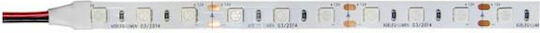 Adeleq LED Strip 12V RGB Light 5m Type SMD5050