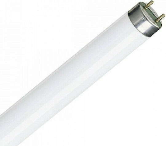 Ledvance Lumilux Fluorescent Lamp for Socket G13 with Shape T8 30W