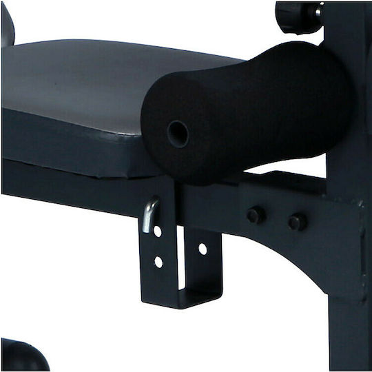 Pegasus JX-764 L-586 Adjustable Workout Bench with Stands