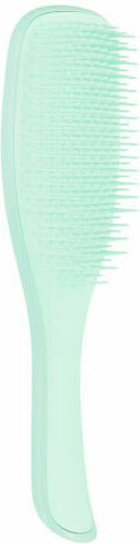 Tangle Teezer The Wet Detangler Fine & Fragile Βούρτσα Μαλλιών Jade Lagoon