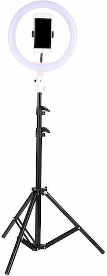 Ringlicht Ringlampe Licht Led 32cm 3200-5600k Art des Stativs Boden Handyhalter
