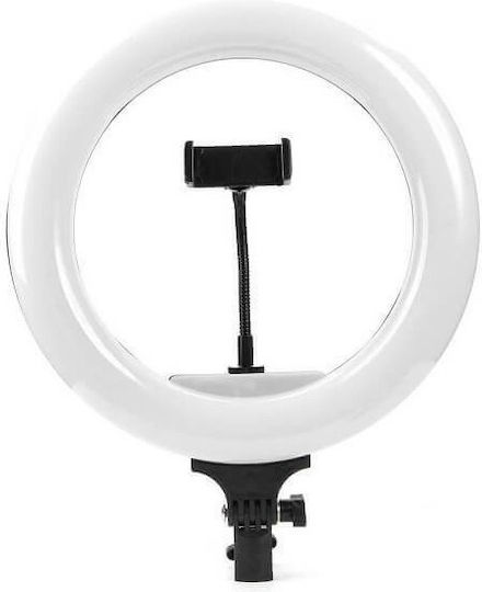 Andowl Ring Light 30cm 3200 - 5600K με Τρίποδο Δαπέδου και Βάση για Κινητό