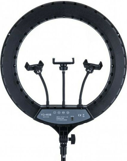 Ring Light 58cm with Tripod Floor and Mobile Holder