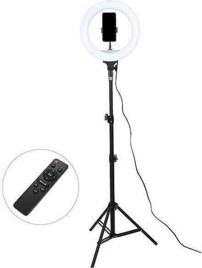 Ringlicht LED 30cm 3200 - 5600K mit Bodenstativ und Handyhalter
