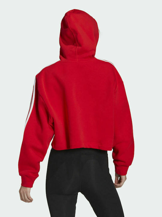 Adidas Adicolor Classics Cropped Hanorac pentru Femei Cu glugă Roșu viu