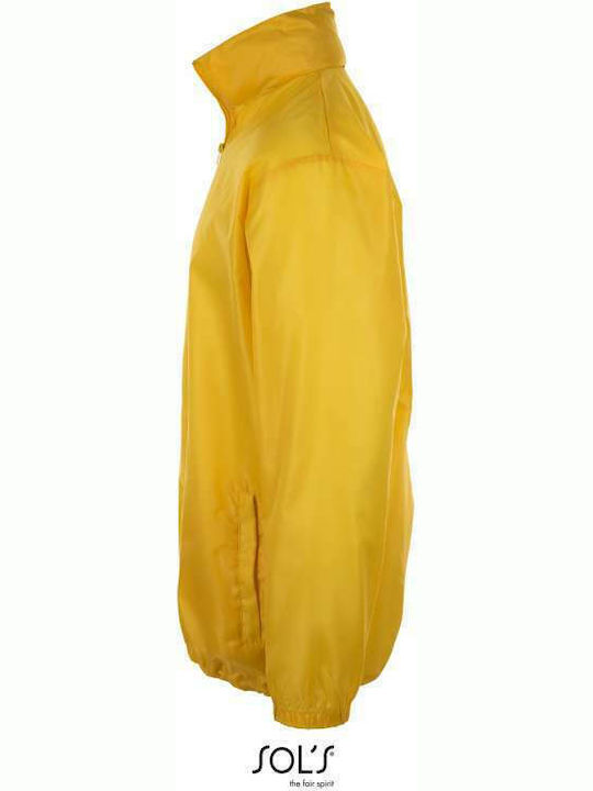 Winter Jacket Waterproof and Windproof Yellow