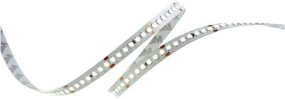 Geyer Waterproof LED Strip Power Supply 12V with Cold White Light Length 5m and 60 LEDs per Meter SMD5050