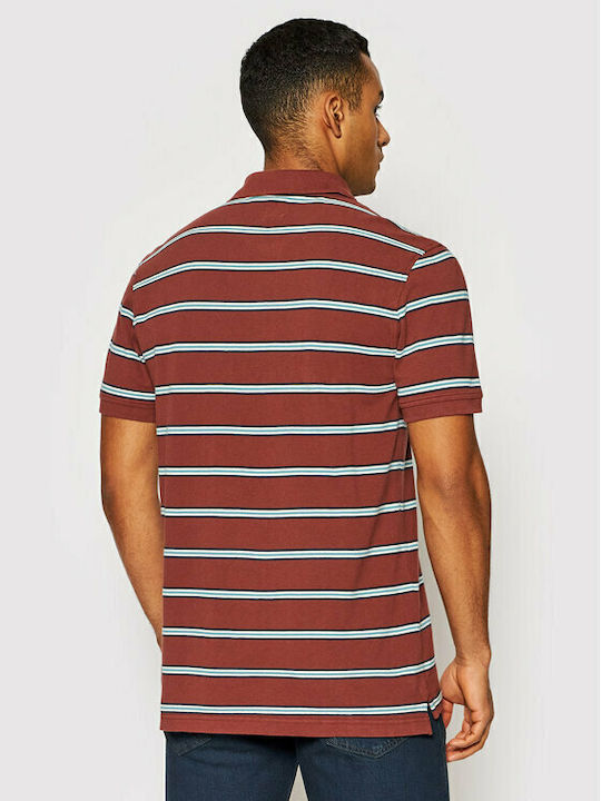 Polo Short Sleeve Blouse Brown