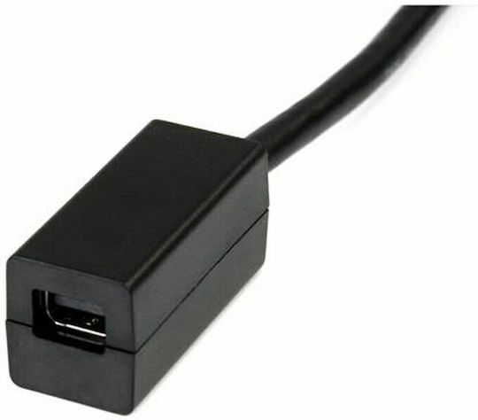StarTech Konverter DisplayPort männlich zu Mini-DisplayPort weiblich 1Stück DP2MDPMF6IN