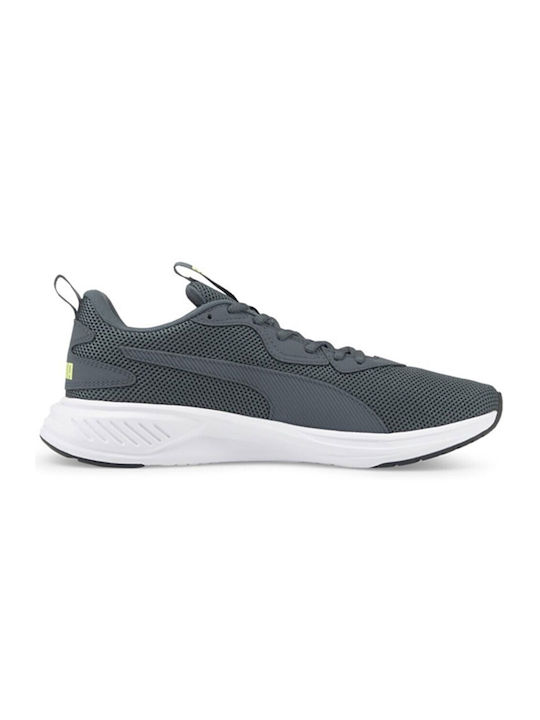 Incinerate Sport Shoes Training Gray