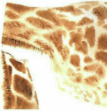 RoomMates Decor Kids Wall Sticker Giraffe 80x112cm