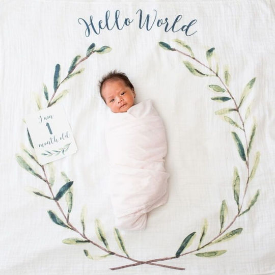 Lulujo Baby Photography Sheet Hello World