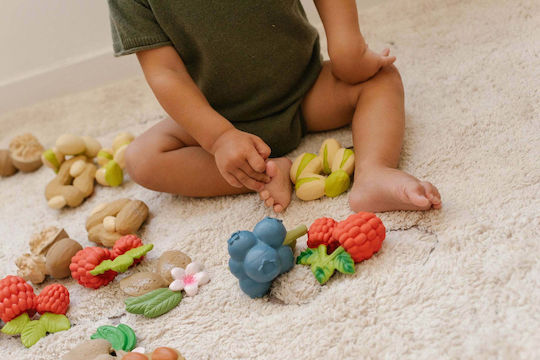 Oli&Carol Jerry The Blueberry Teething Ring Teether Made of Rubber for 0 m+ OC201253