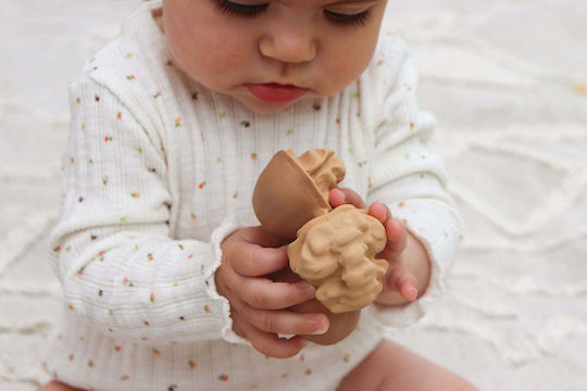 Oli&Carol Nutty Walnut Teether from Rubber for 0 Months+