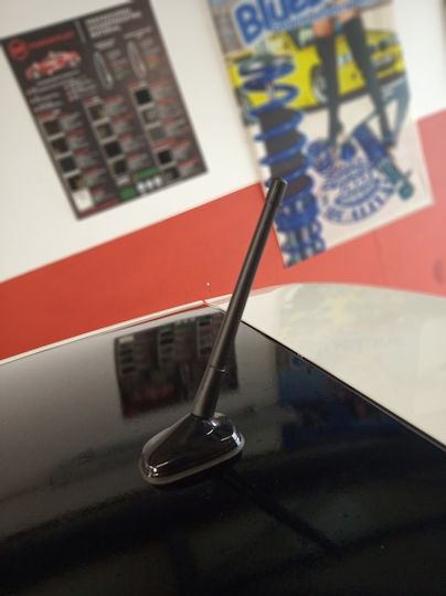 Auto Gs Κεραία Αυτοκινήτου Οροφής 17.5cm Βιδωτή για Ραδιόφωνο