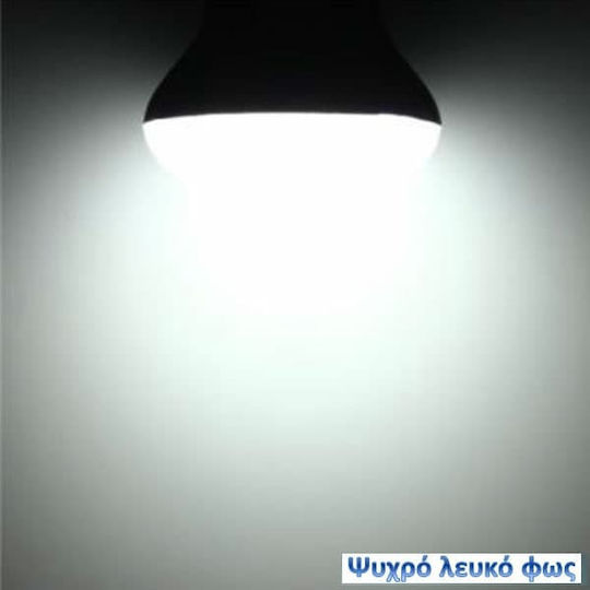 Diolamp Λάμπα LED 3W 100mm για Ντουί E14 και Σχήμα C37 Ψυχρό Λευκό 290lm