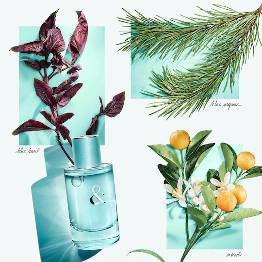 Tiffany & Co & Love Eau de Parfum 50ml