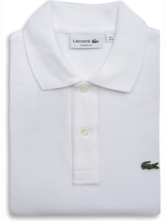 Herrenblusen Polo T-Shirt Weiß