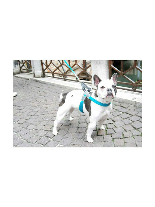 Pet Camelot Ham pentru câini Cinquetorri 2 Roșu 25-35cm C100RD020