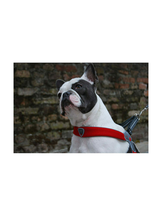 Pet Camelot Dog Harness Cinquetorri 3 Red 30-40cm C100RD030
