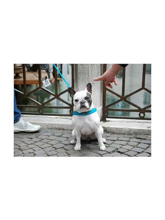 Pet Camelot Cinquetorri Electric 5 Μπλε 40-50cm
