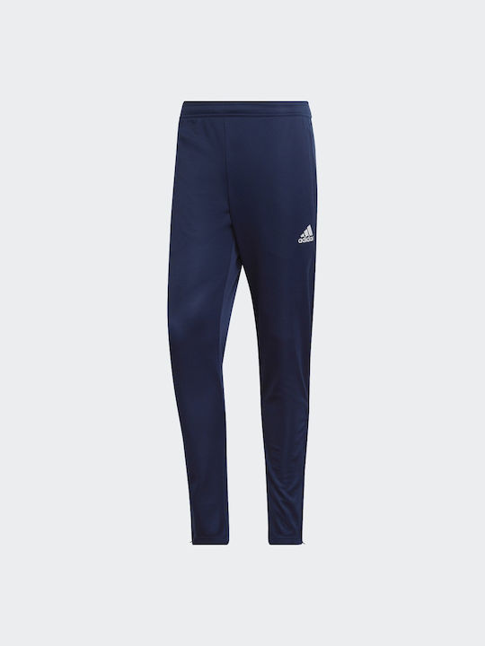 mens blue adidas sweatpants