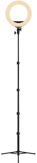Streamplify Light 14 Ring Light 36cm 3000 - 6000K με Τρίποδο Δαπέδου και Βάση για Κινητό