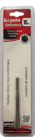 Auto Gs Car Antenna Roof Sport Threaded 10cm Silver for Radio in Silver Color