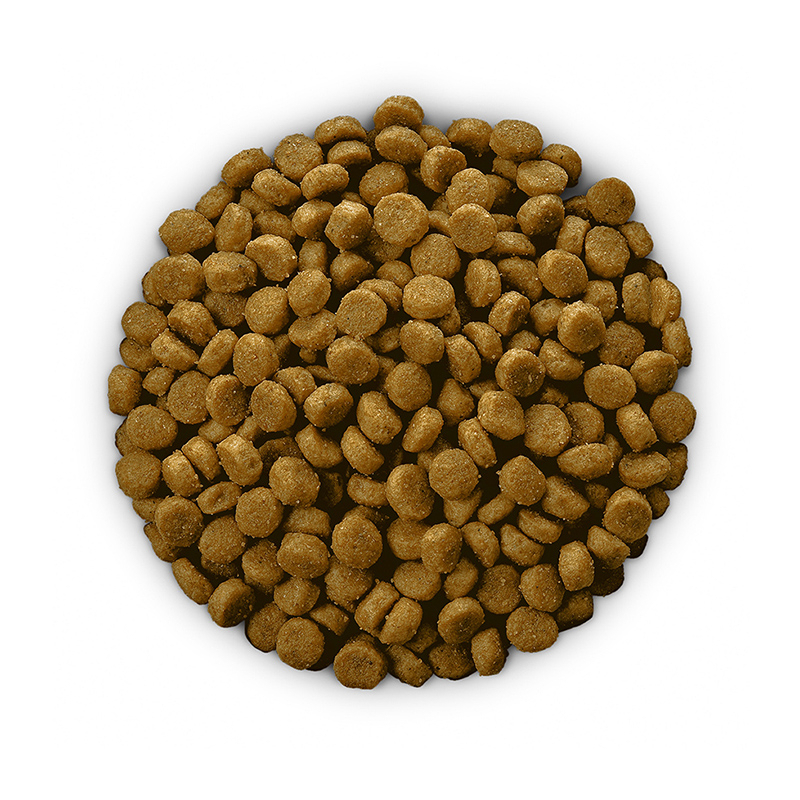 science diet urinary care dog food