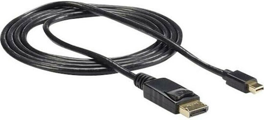 StarTech Cable mini DisplayPort male - DisplayPort male 1.8m Black (MDP2DPMM6)